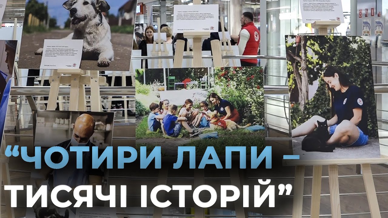 КОЖНА СВІТЛИНА – ІСТОРІЯ ПОРЯТУНКУ: у Вінниці відкрили фотовиставку "Чотири лапи – тисячі історій"