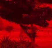 В Австралии небо стало кроваво-красным: в чём причина (видео)