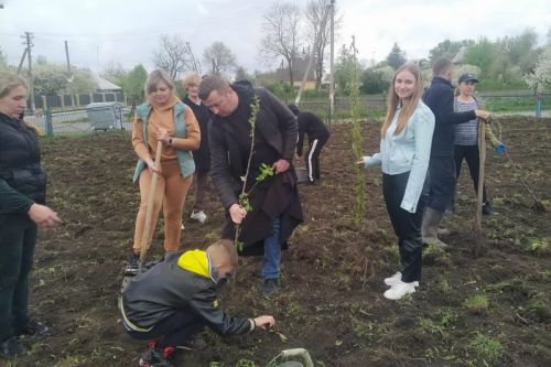 У селі на Тернопільщині висадили «Сад миру» (фото)