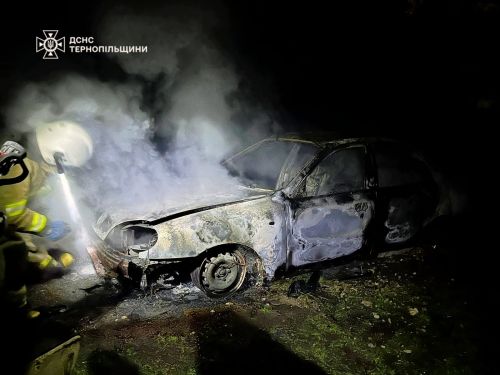 Жахлива трагедія: на Шумщині чоловік згорів разом з власним авто (фото)