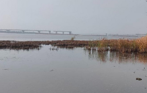 Росіяни намагалися наступати біля Антонівського мосту на Херсонщині, - ЗСУ