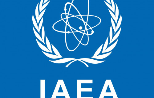 У МАГАТЕ заявили, що ЗАЕС потрібен "особливий статус" у разі досягнення мирної угоди