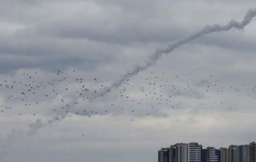 news-image