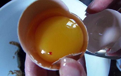 Наскільки небезпечні червоні та коричневі цятки в курячому яйці: багато хто про це не знає
