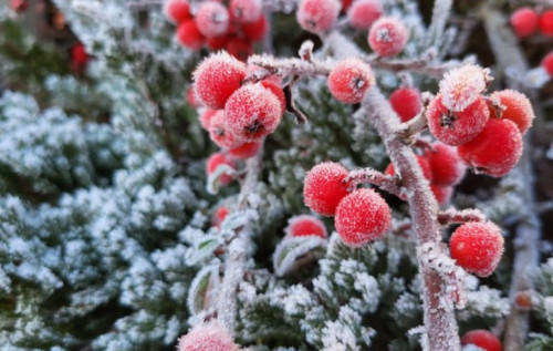 До України насувається лютий мороз до -24: прогноз погоди на 12 січня