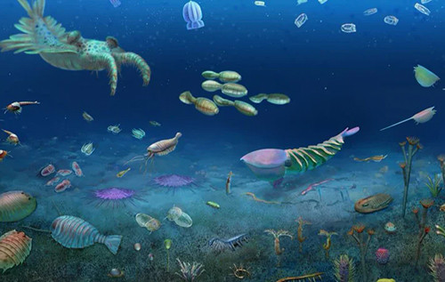 У Китаї знайшли скупчення скам’янілостей, яке показує відновлення життя після масового вимирання