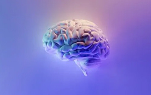 Вчені знайшли несподіваний спосіб прискорити відновлення пацієнтів після інсульту