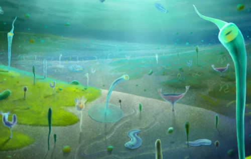 У Китаї виявили рештки істот, схожих на піщаних червів із "Дюни"