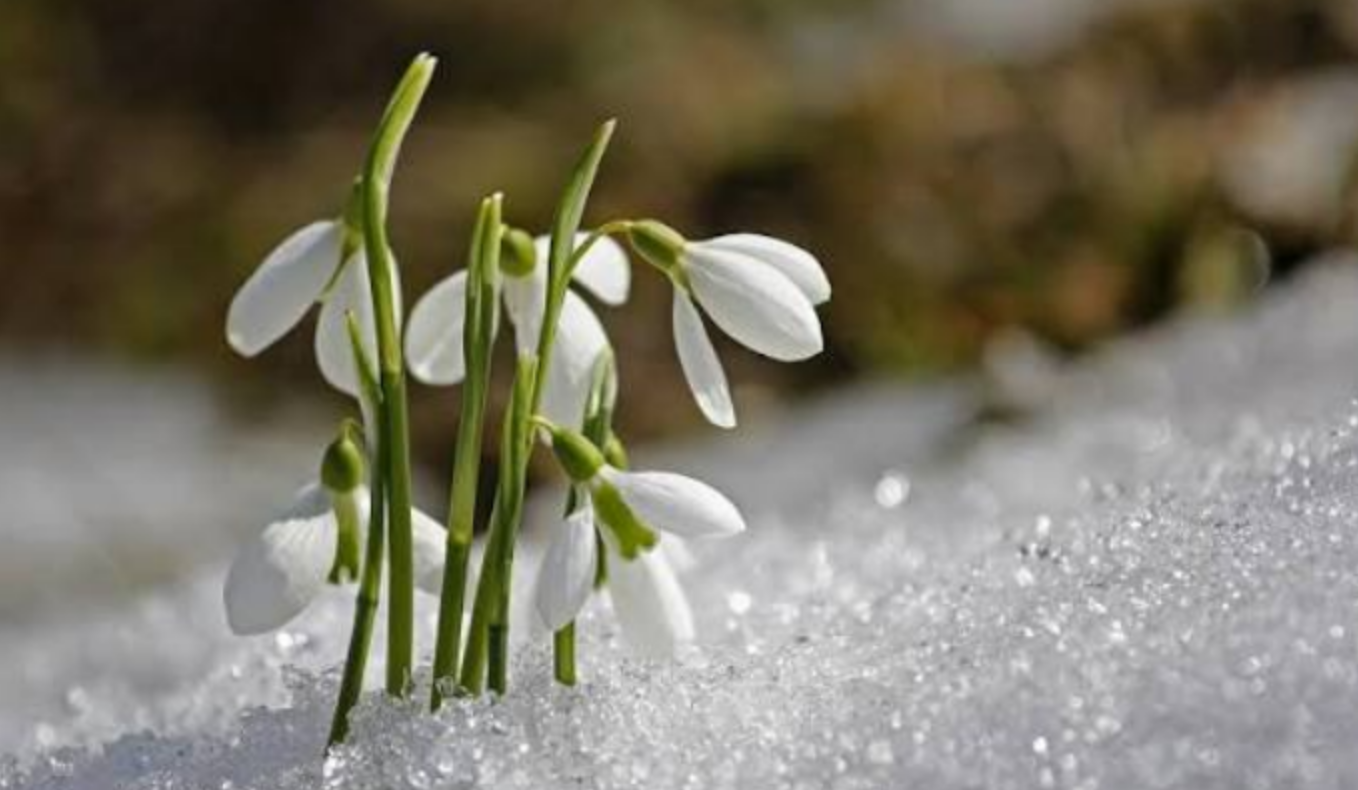 Одещину очікує поступове потепління: прогноз погоди на тиждень