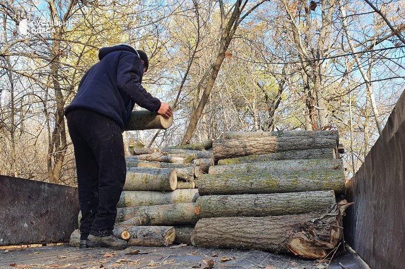 Опалюєте своє житло дровами чи вугіллям? Можете отримати грошові виплати