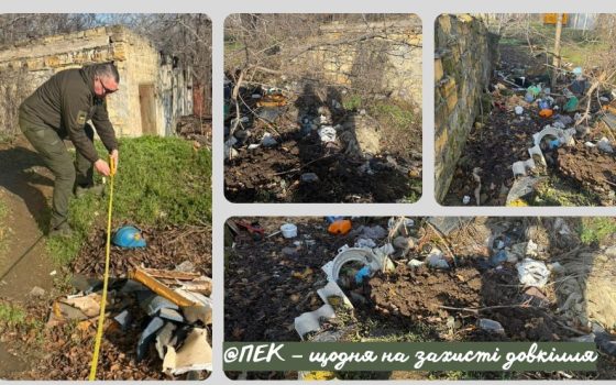 В Одесі на Пересипі виявили несанкціоноване сміттєзвалище