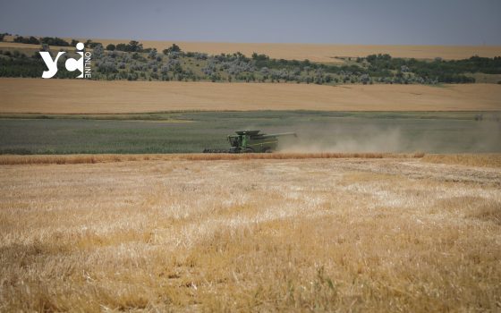 Ринок землі в Україні відновив довоєнні обсяги