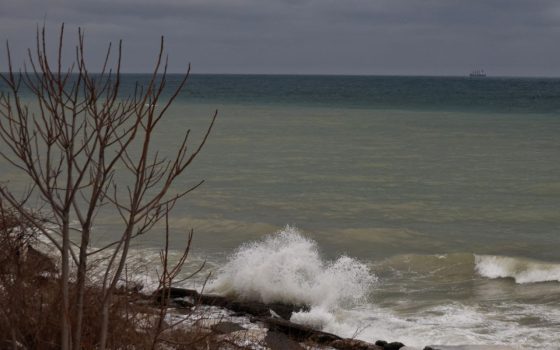 На Одещину насувається Південний циклон: завтра у місті оголосили штормове попередження (відео)