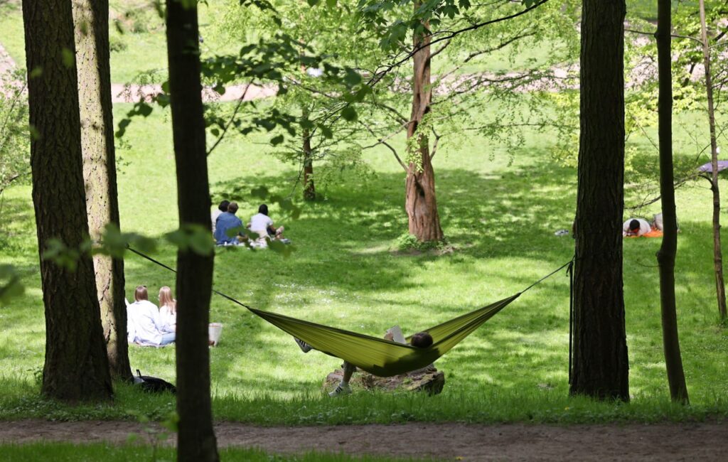 З 13 травня парки Львова оброблятимуть від кліщів