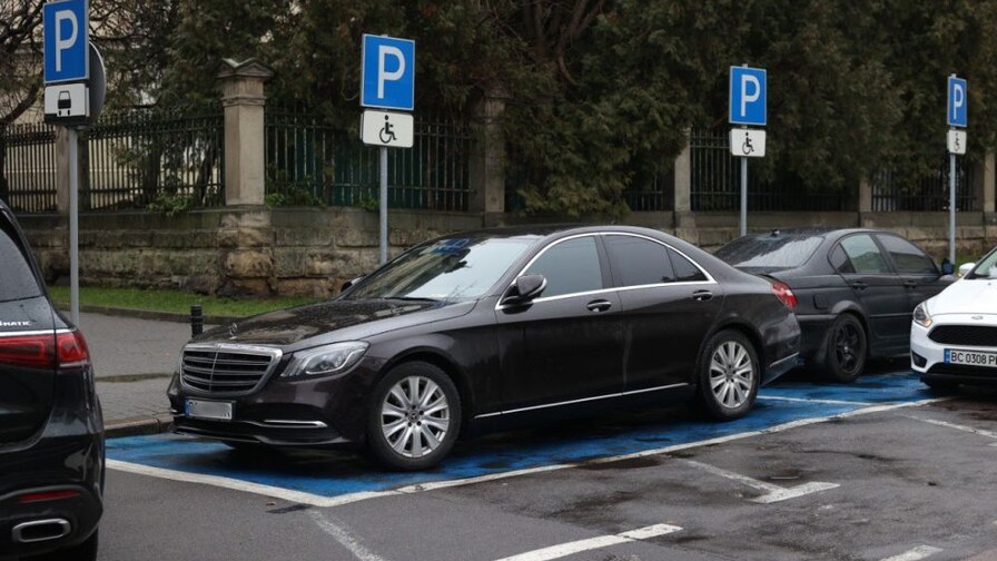 У Львові через кожні 5 машин хочуть садити дерево