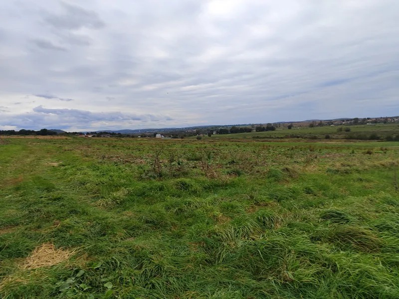 У Львові обіцяють побудувати ще парковку