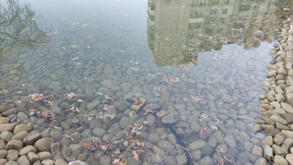 У Львові озеро наповнюють водою (ФОТО)