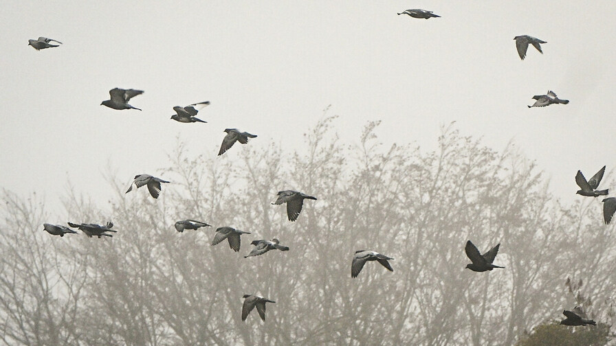 У Львові оголосили штормове попередження