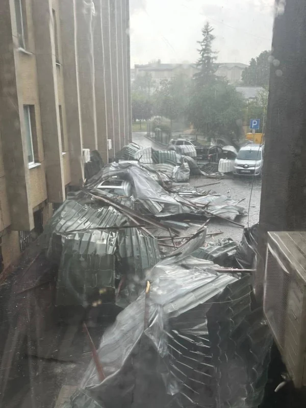 У Львові дерево впало на тролейбус (ВІДЕО)