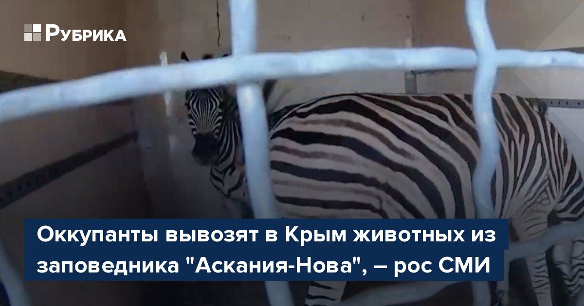 Оккупанты вывозят в Крым животных из заповедника "Аскания-Нова", – рос СМИ
