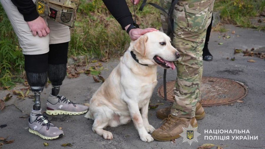 На Львівщині службові собаки допомагають пораненим бійцям боротися зі стресом