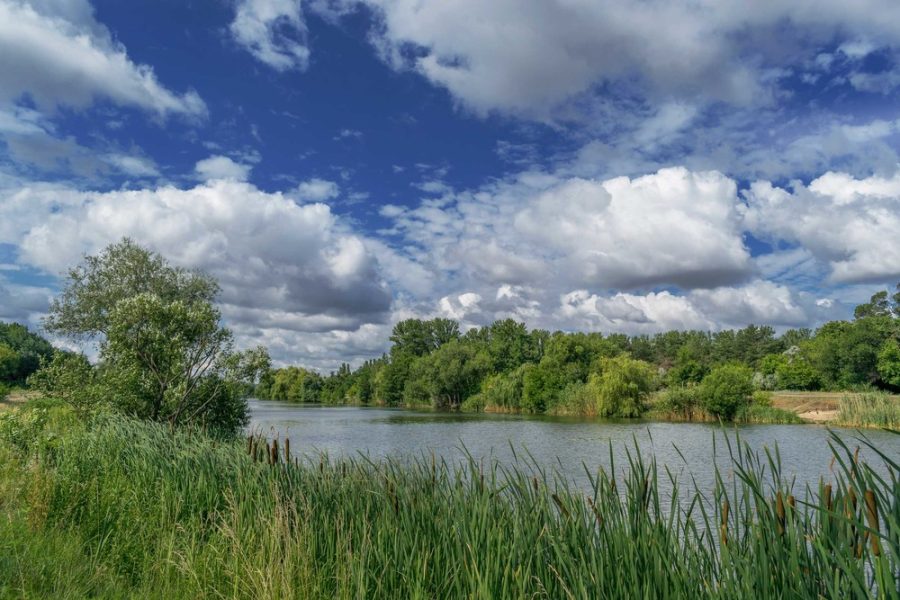Вийшов з дому і не повернувся: на Львівщині у річці знайшли мертвого чоловіка