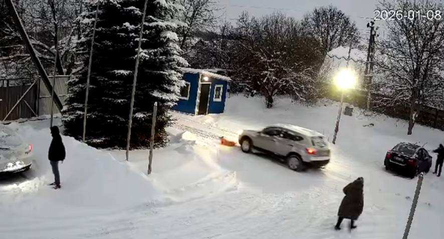 У Пустомитах водій двічі переїхав собаку і втік. Поліція розпочала розслідування