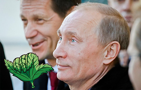 news-image