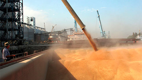 news-image