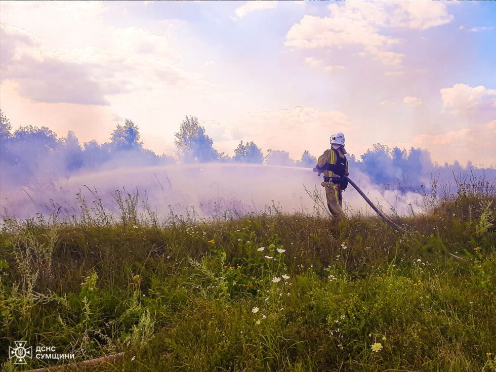На Сумщині пожежники упродовж доби п’ять разів ліквідовували загоряння на відкритих територіях (ВІДЕО)