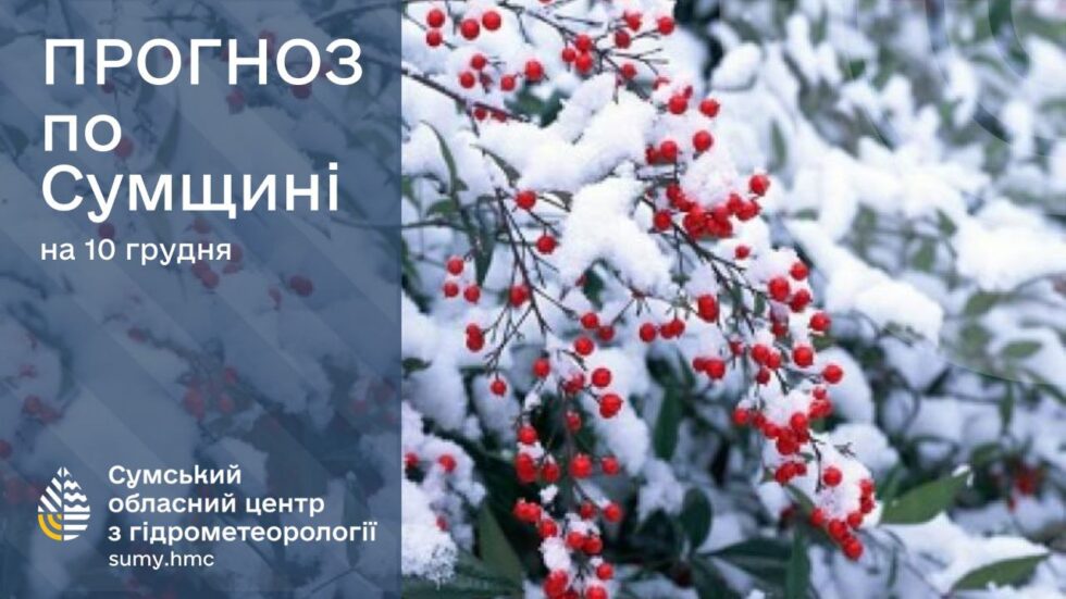 На Сумщині прогнозують дощ із мокрим снігом