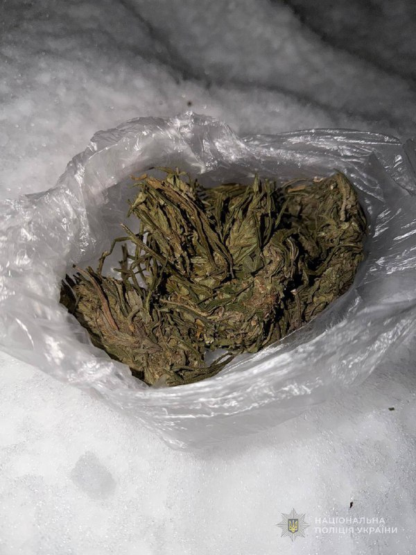 Поліцейські Сумщини задокументували низку фактів незаконного зберігання наркотиків