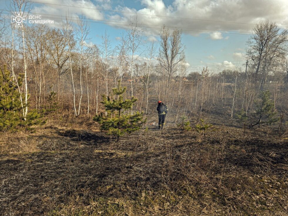 Вогнеборці Сумщини двічі ліквідовували загоряння сухої рослинності (ВІДЕО)