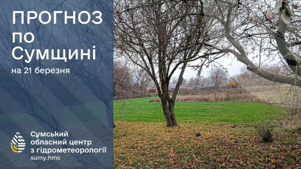 Погода на вихідних: прогноз сумських синоптиків
