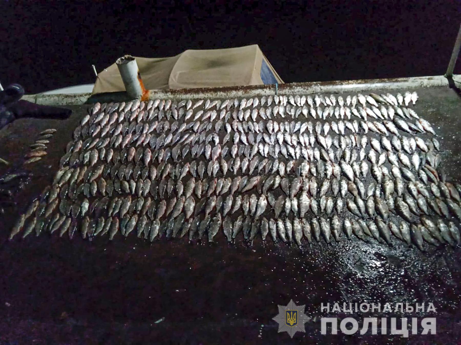 Житель Запорожской области незаконно выловил рыбы на 800 тысяч гривен