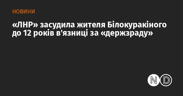 «ЛНР» засудила жителя Білокуракіного до 12 років в'язниці за «держзраду»