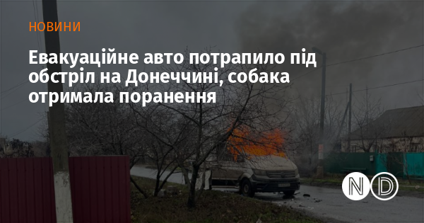 Евакуаційне авто потрапило під обстріл на Донеччині, собака отримала поранення