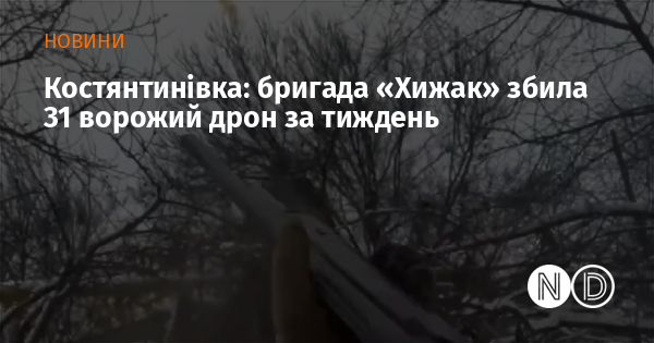 Костянтинівка: бригада «Хижак» збила 31 ворожий дрон за тиждень