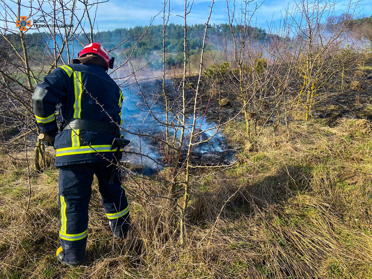 Протягом минулої доби рятувальниками області ліквідовано 8 пожеж в екосистемах