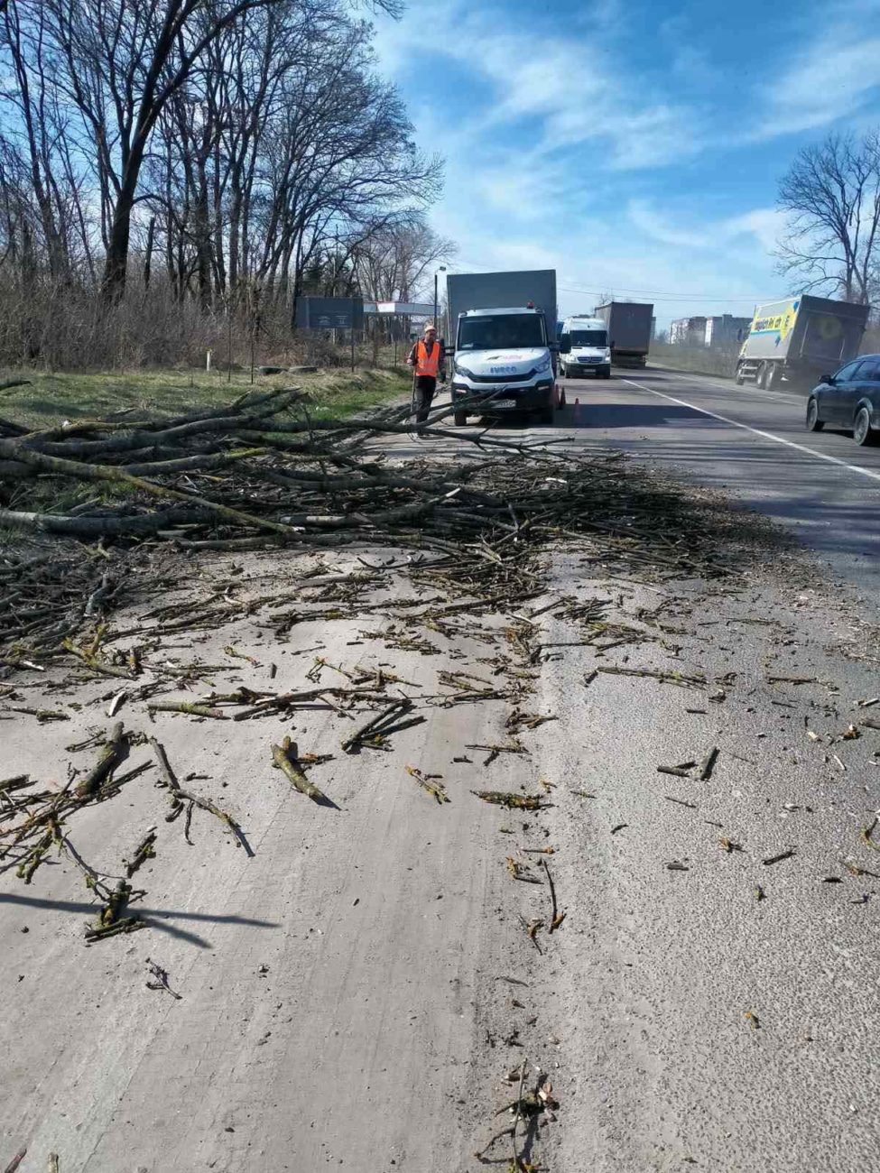 На Тернопільщині за останню добу дорожники прибрали з державних автошляхів 22 дерева, повалених вітром