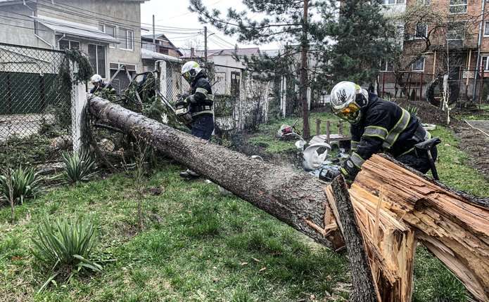 На Буковині рятувальники розпиляли 8 дерев, які впали від сильного вітру (ФОТО)