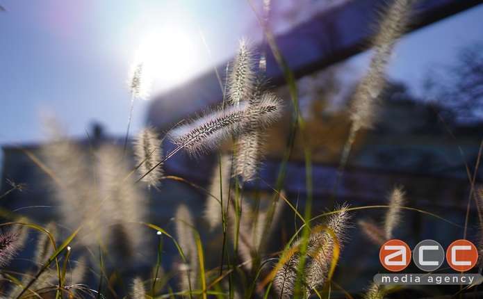 Хто святкує іменини 15 листопада та яке свято в Україні та світі