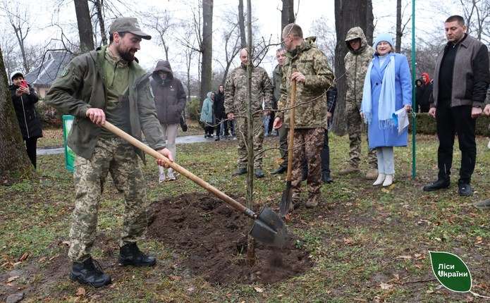 Більше ніж 14 мільйонів молодих дерев висадили у Чернівецькій області