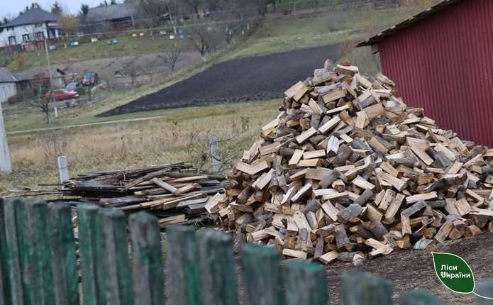 Скільки коштує придбати дрова на Буковині та як це зробити легально