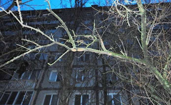 Падіння 19-річної дівчини з вікна у Миколаєві: господаря квартири взяли під варту