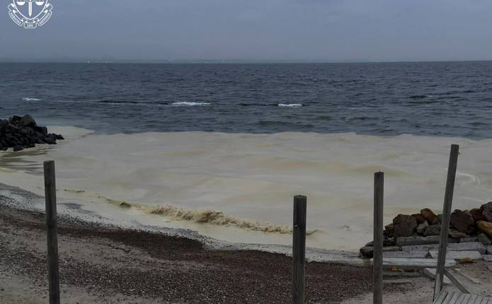 Через російську атаку на узбережжі Чорного моря виявили маслянисті плями та загиблих птахів