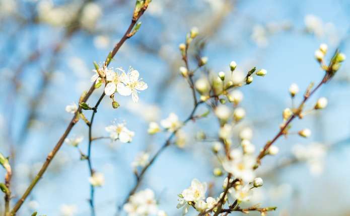 Будьте уважними до погоди сьогодні, адже вона розповість, якою буде весна