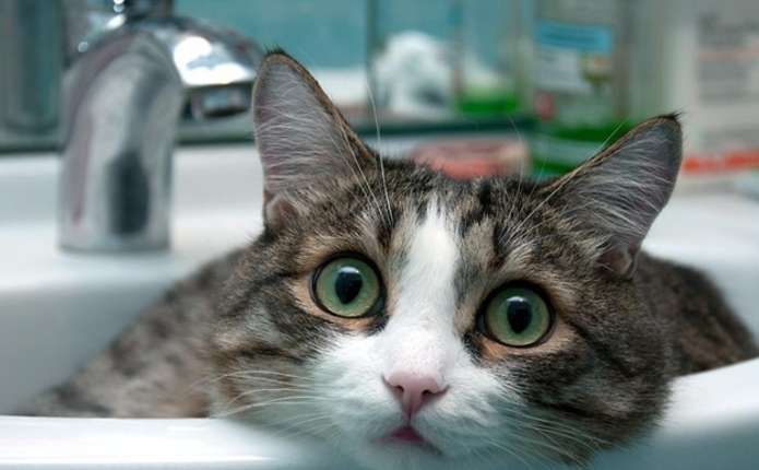 Чернівці сьогодні знову без води до ночі