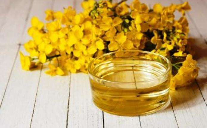 Олія, яка корисніша за оливкову: чому її варто вживати щодня