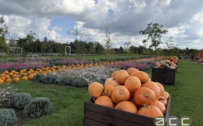 Дизайнерку виставкового парку в Мамаївцях оштрафували за самовільно захоплені землі